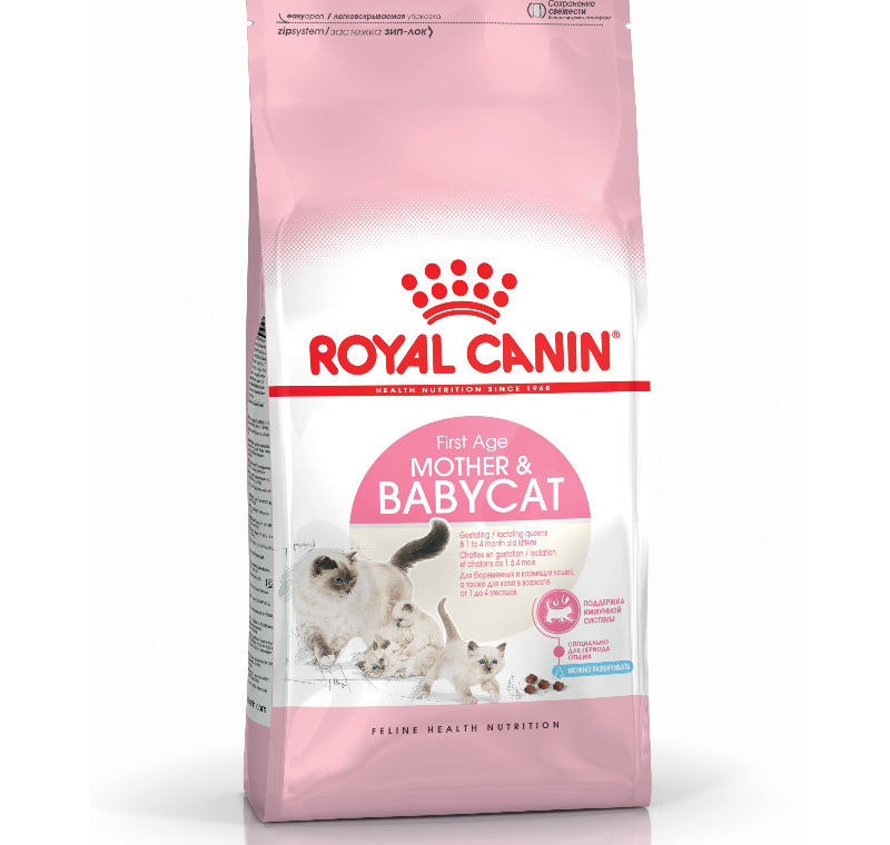 Royal Canin Baby Cat 34  2 Kg -