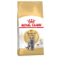 Royal Canin British Shorthair Yetişkin Kedilerine Özel Mama 2 Kg.